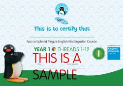 Internationl Kindergarten Program Certificate